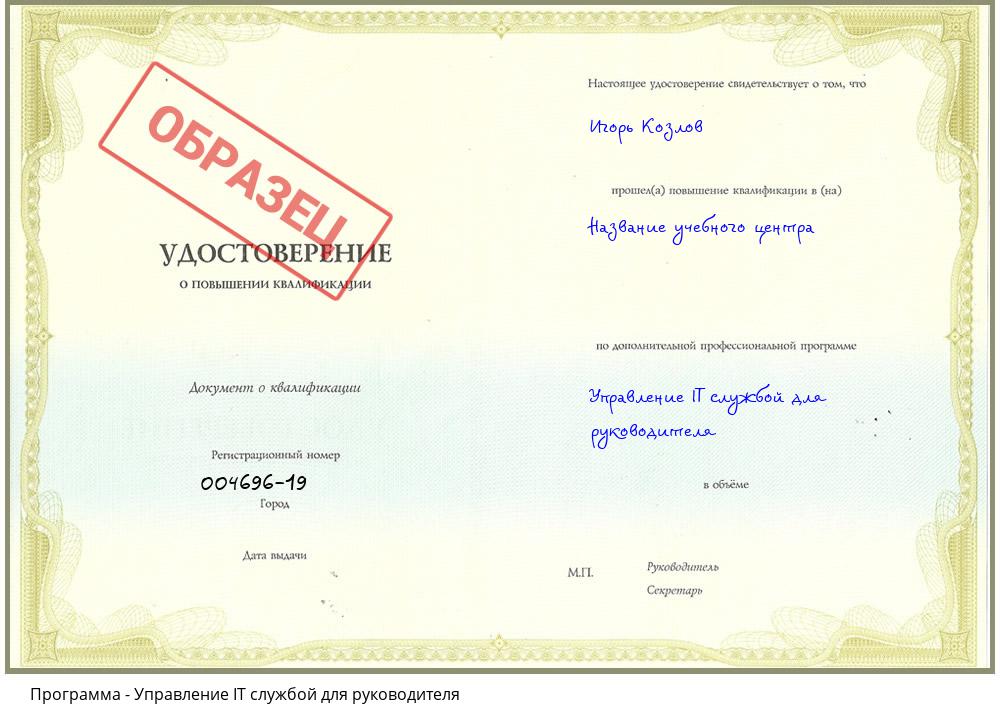 Управление IT службой для руководителя Шадринск