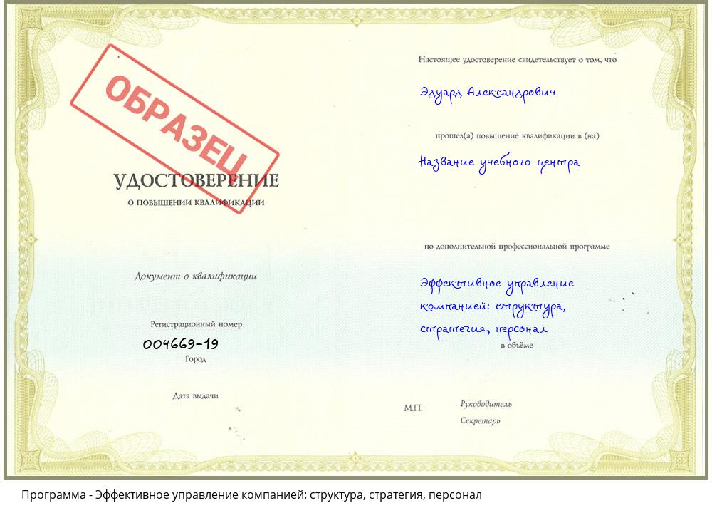 Эффективное управление компанией: структура, стратегия, персонал Шадринск