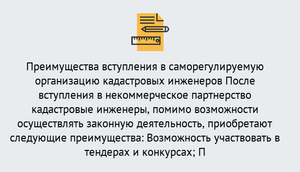 Почему нужно обратиться к нам? Шадринск Что дает допуск СРО кадастровых инженеров?