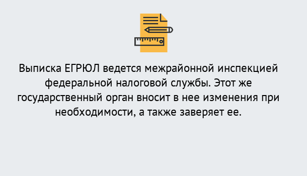 Почему нужно обратиться к нам? Шадринск Выписка ЕГРЮЛ в Шадринск ?