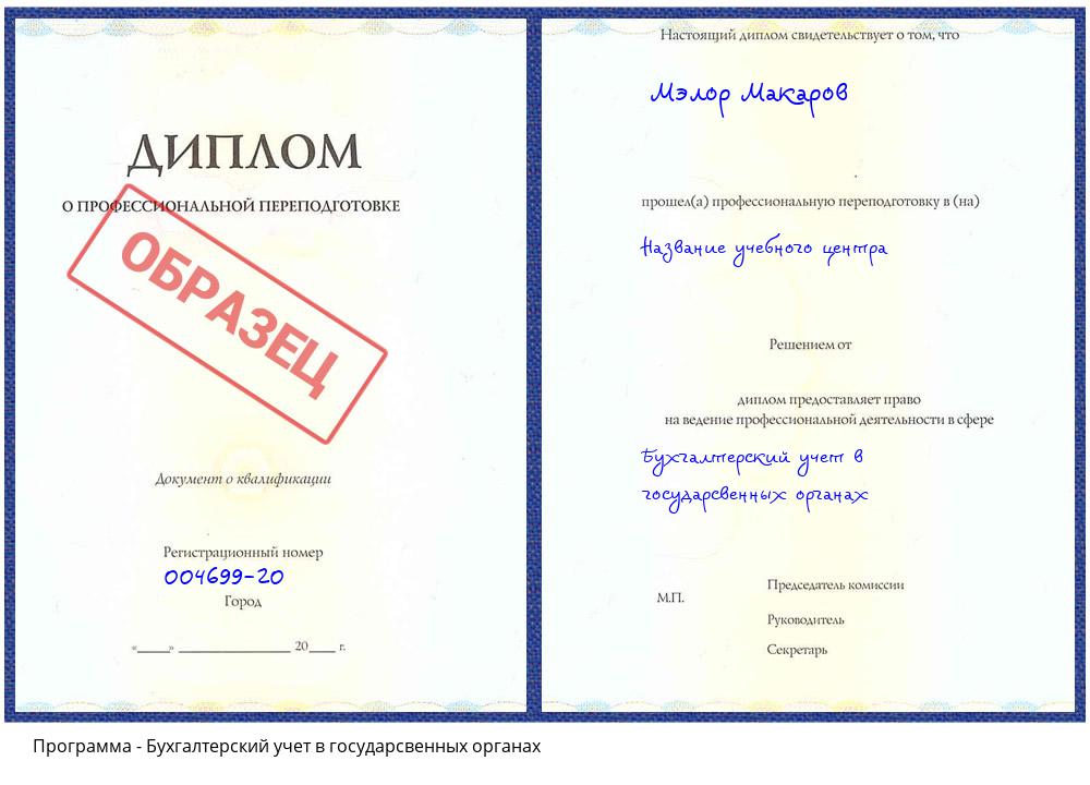 Бухгалтерский учет в государсвенных органах Шадринск