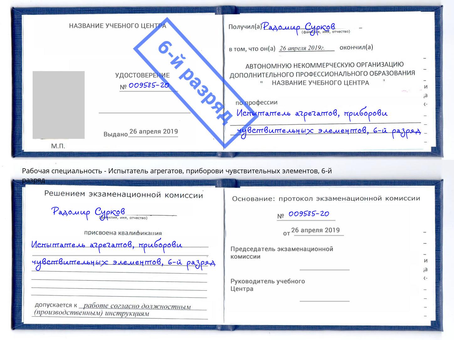 корочка 6-й разряд Испытатель агрегатов, приборови чувствительных элементов Шадринск