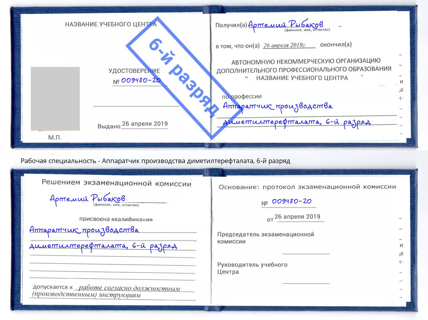 корочка 6-й разряд Аппаратчик производства диметилтерефталата Шадринск