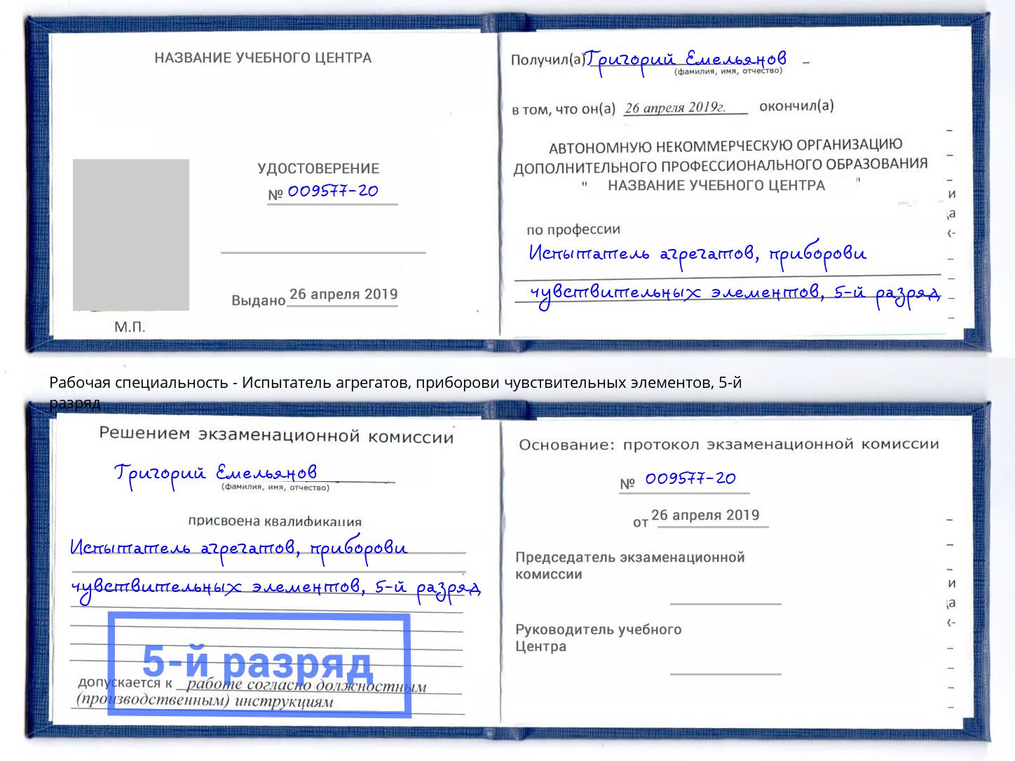 корочка 5-й разряд Испытатель агрегатов, приборови чувствительных элементов Шадринск