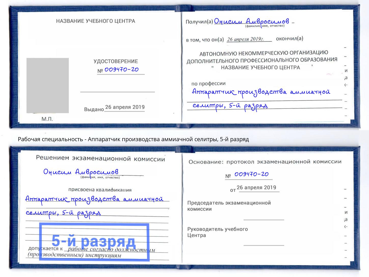 корочка 5-й разряд Аппаратчик производства аммиачной селитры Шадринск