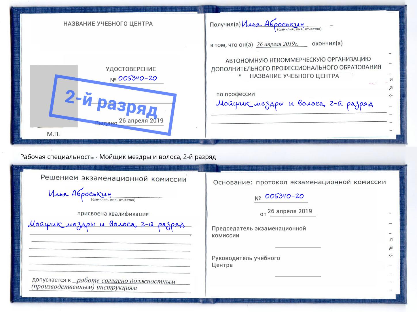 корочка 2-й разряд Мойщик мездры и волоса Шадринск
